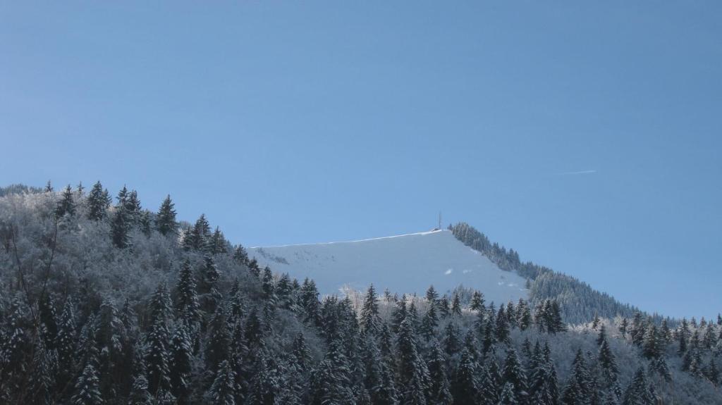Hotel Le Mont Jorat Abondance Bagian luar foto